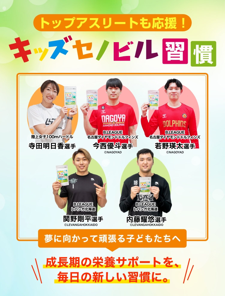 レバンガコンテンツ